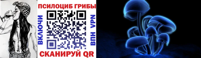сколько стоит Малая Вишера Галлюциногенные грибы GOLDEN TEACHER
